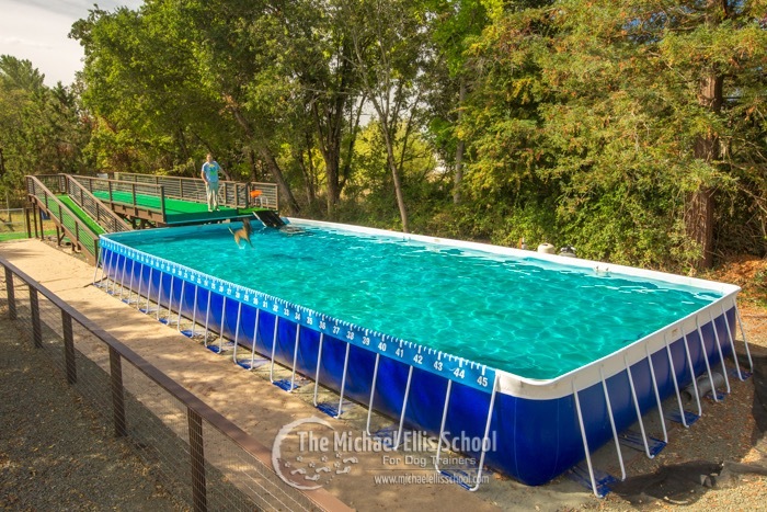 facilities-pool