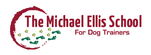 michael-ellis-school-logo