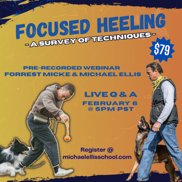 Focused Heeling: A Survey of Techniques