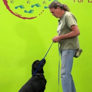 Pet Dog Fundamentals 2026